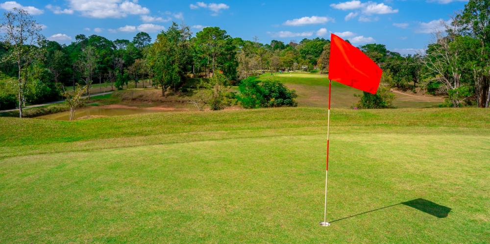 US Open de Golf