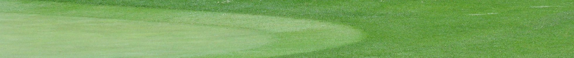 Torneo de Masters Torneo de Masters