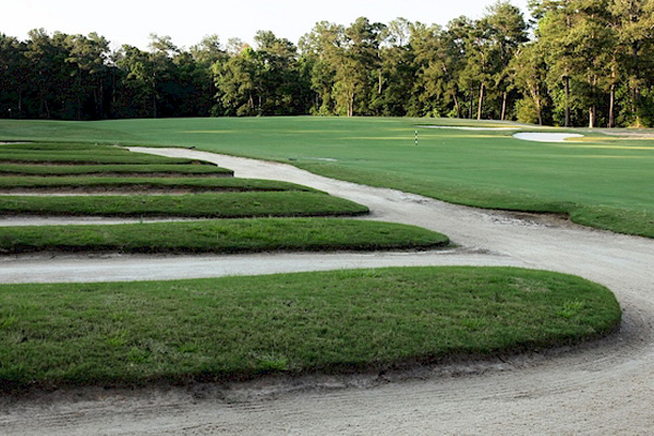 US Open de Golf US Open de Golf
