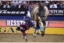 NFR 11-14 de dic. 2025