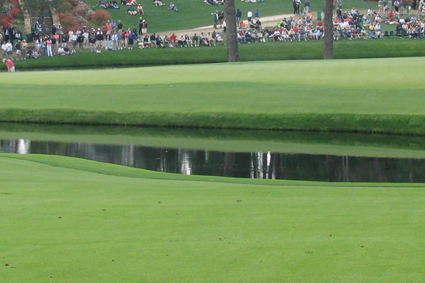 View from Augusta National Golf Course