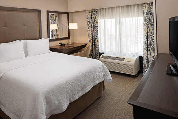 Interior View of Suite at Hampton Inn