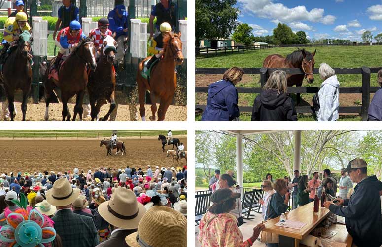 See it all during Derby Weekend.. Blue Grass Country, Bourbon + The Kentucky Oaks & The Kentucky Derby. Don't just go to the race, see it ALL while you are there! We have tour packages that take you beyond the gates of Churchill Downs and into horse country! Sip bourbon or blend your own special bottle to commemorate your trip. Visit horse farms where champion horses train and interact with past champions enjoying their retired life. Tour historic Keeneland Race Course (site of the 2026 Breeders Cup) and take a VIP tour of the famous Kentucky Horse Park! Let us take care of all the details throughout your stay. Take advantage of our easy payment plans! 🔗 https://www.sportstraveler.net/sports-events/horse-racing/kentucky-derby.html #kentuckyderby #derbyweekend #bourbonlovers #sportstraveler #sportstravel
