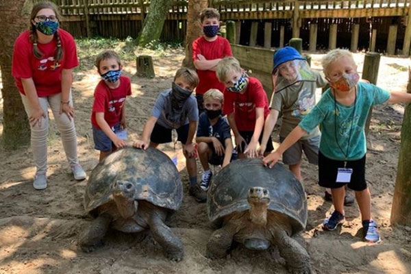 Kids with sea turtles at the St. Augustine Alligator Farm